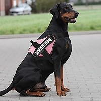 Vista 4 de MUMUPET - Arnés para perro guía, fácil de poner y quitar, arnés de chaleco para mascotas, reflectante 3M, transpirable y fácil de ajustar, con mango