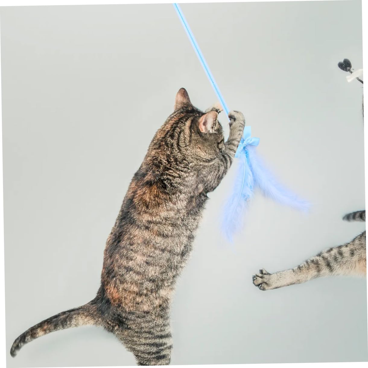 FRCOLOR Juguetes para Gatitos 9 Piezas Palo de Teaser de Borla Juguetes para Mascotas Gatito Juguetes Juguetes Juguete para Gatos Varita mágica Hada Regalo de cumpleaños Palo de burlas