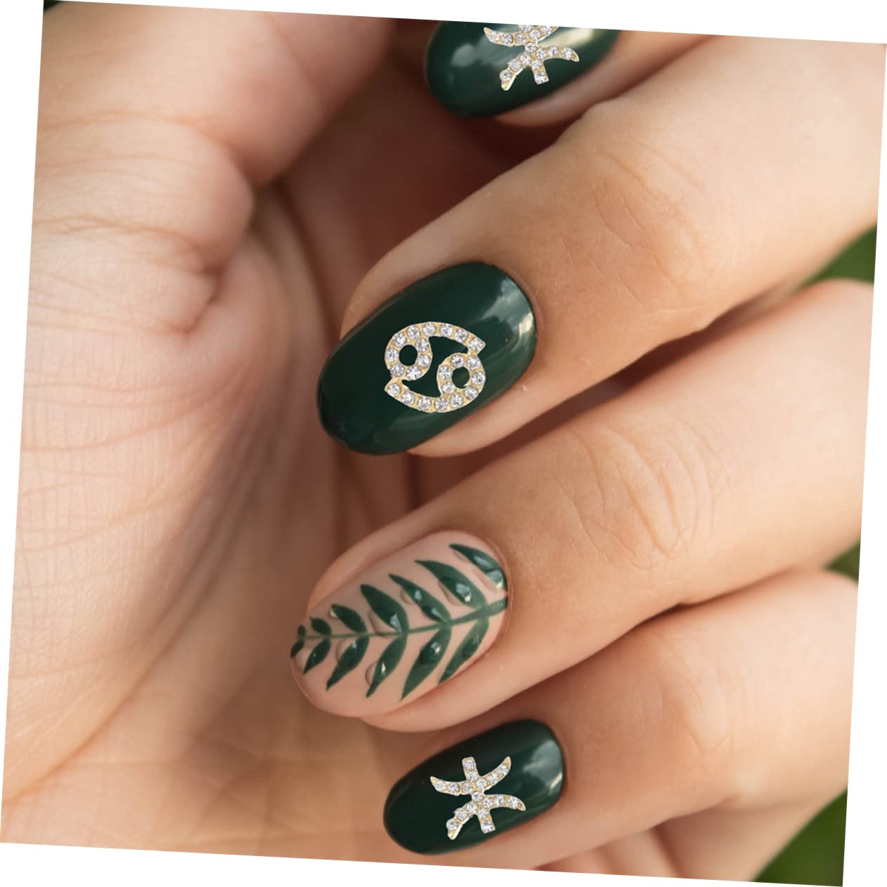 Didiseaon 5 Set di Ciondoli per Unghie per Nail Art 12 Segni di Ciondoli per Unghie Strass Decorazioni Eleganti per Unghie per Occasioni Speciali Pezzi * 5