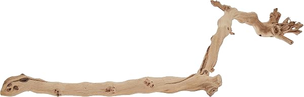 Exo Terra Forest Branch, Small (Exact Size May Vary) - 4