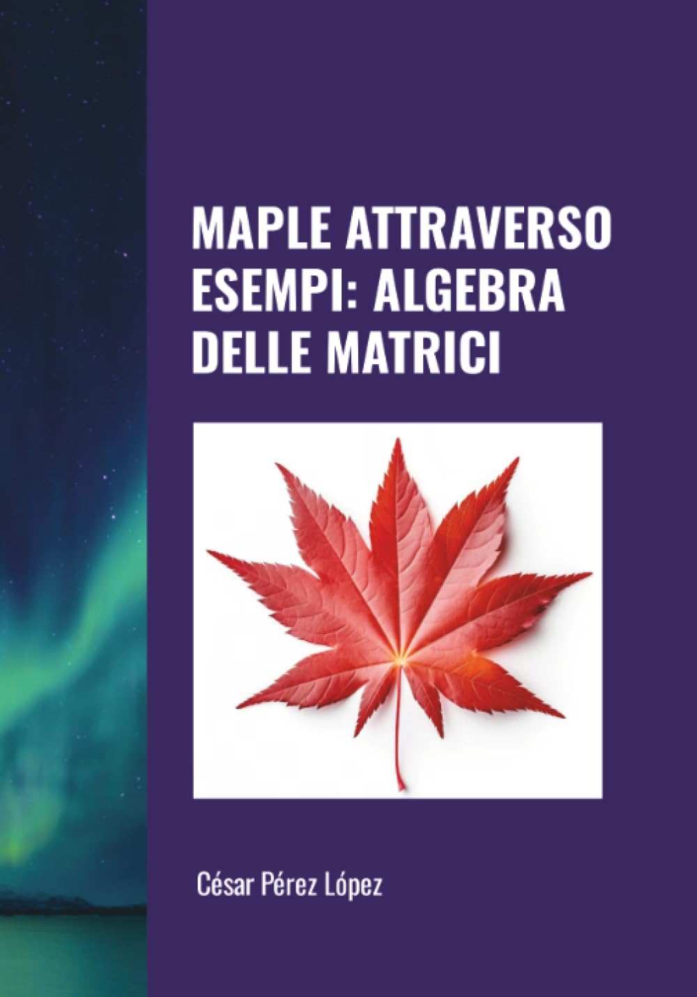 MAPLE ATTRAVERSO ESEMPI: ALGEBRA DELLE MATRICI