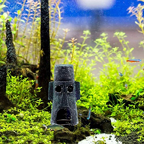 Herbests Arredo per Acquario, Ornamenti per