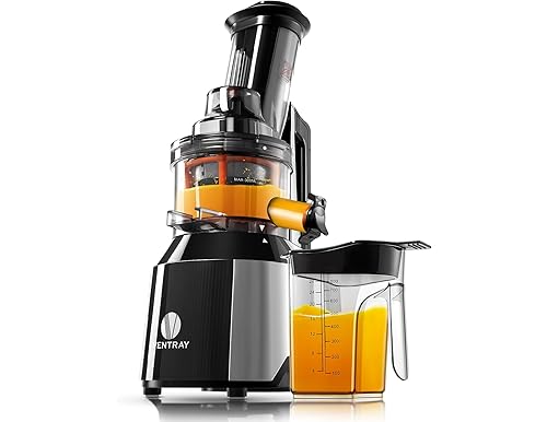 Ventray Juicer: Best Cold Press Juicers for Every Need