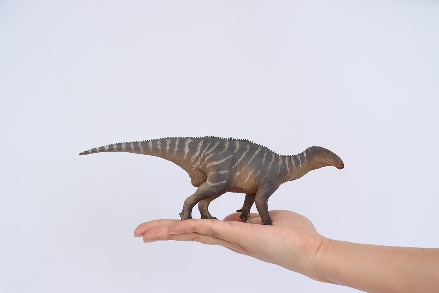 Dinosaur Museums Series 1:35 Scale Iguanodon Harvey Figure Scientific Art Model Realistic Animal Gift