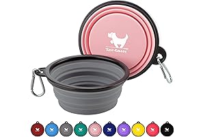 Collapsible Pet Travel Bowls for Food & Water