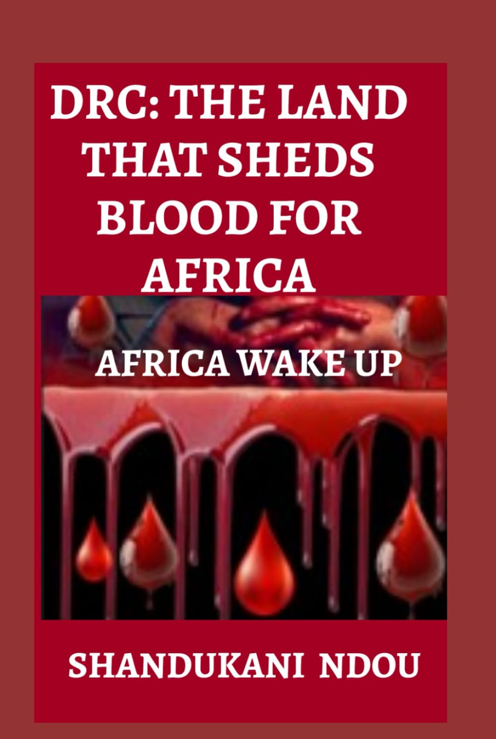 DEMOCRATIC REPUBLIC OF CONGO: THE LAND THAT SHARED BLOOD FOR AFRICA: A Nation Blessed with Wealth but Cursed by Bloodshed