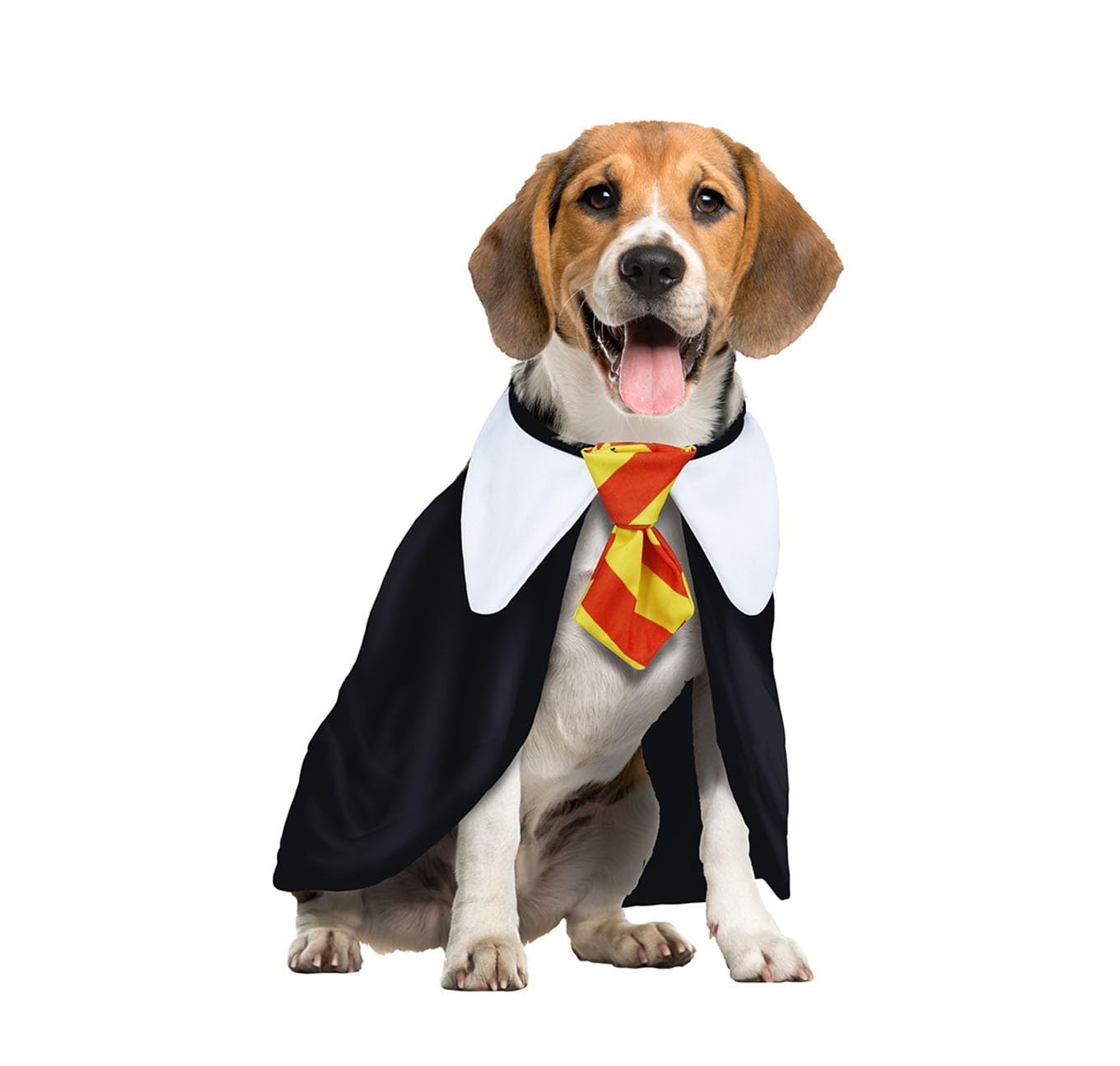 Disfraz Perro Mago. Disfraces para Perros Pequeños Medianos O Grandes. Disfraz Mascota O Disfraz Gato. Deja Que Tu Fiel Amigo Hechice El Carnaval. La Pócima Estilo Encantador. (Large)