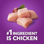 IAMS Advanced Health soutien à la mobilité, nourriture sèche pour chiens adultes – recette de poulet et grains entiers – Sac de 2,72 kg (6 lb)