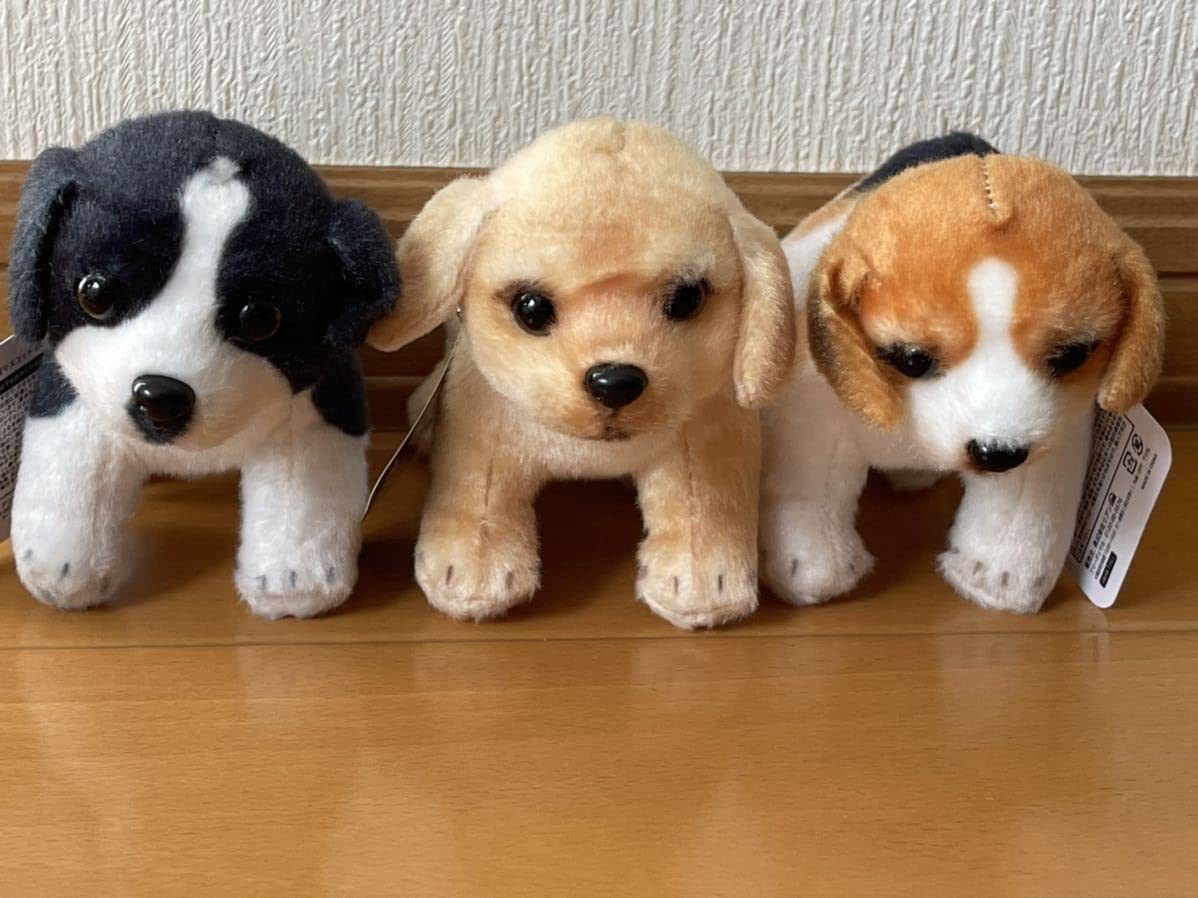 Amazon.co.jp: リアルアニマル 犬おさんぽマスコット ぬいぐるみ