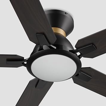 SMAFAN 52" Low-Profile Flush Mount Ceiling Fan with Lights, 10 Speeds Silent DC Motor, Farmhouse Smart Ceiling Fan Compatible with Alexa, Siri, Google & Smart App, Indoor & Outdoor, Wood & Dark Walnut