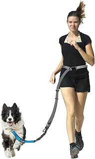 WANFIRE 2-in-1 Freihandleinen Hundeleine&Autosicherheitsgurt – 1,47–2,3 m Lange, verstellbare Bungee-Leine zum Spazierengehen, Laufen und Wandern. product image