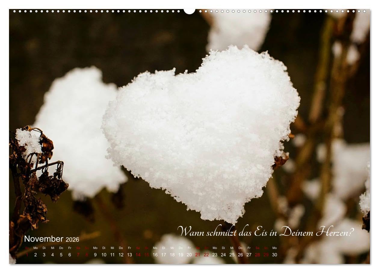 Emotionale Herzensdinge (hochwertiger Premium Wandkalender 2026 DIN A2 quer), Kunstdruck in Hochglanz: Bilder von Herzen mit romantischen Sprüchen über Liebesglück und Liebesleid (CALVENDO Kunst)