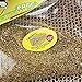 FAT CAT Big Mama's Scratch Cat Toy Box Includes 100% Organic Catnip Grown In The USA