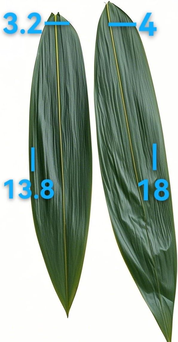 Bamboo Leaf Sushi Plate 100 Pcs,Banana Leaf Substitutes,Food Decorate