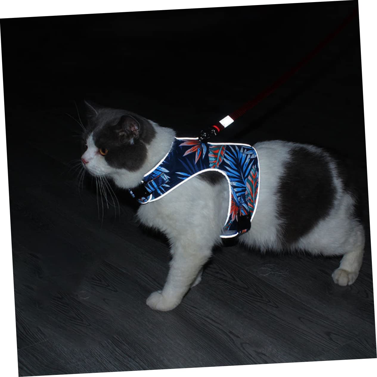 Mipcase 2juegos Arnés Antiescape para Gato Correa Reflectante Arnés De Malla Transpirable para Paseos Profundo