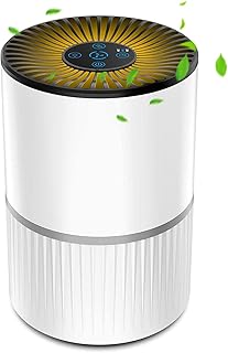 空気清浄機 小型 花粉対策 除菌 脱臭 HEPAフィルター イオン発生 アロマ対応 空気清浄 コンパクト 静音 ~10畳 ３段階風量/タイマー設定 ナイトライト 空気清浄器 卓上 USB給電 ほこり取り 消臭 タバコ ペット ニオイ対策 軽量 省エネ お手入れ簡単 ホワイト【1年品質保証】