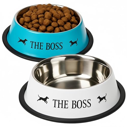 MOLY Comedero Antideslizante Acero INOX Perros 18 cm 0,90 L