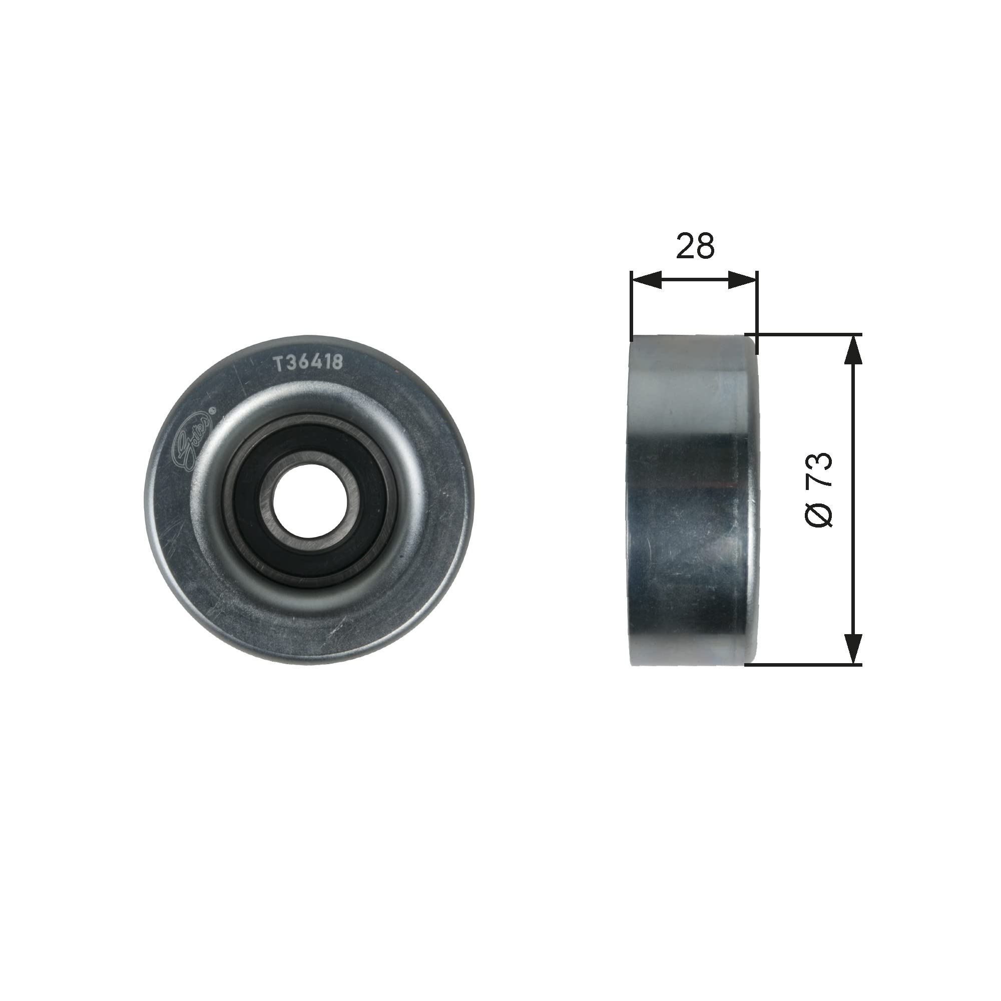 Gates T36418 Galoppino Guidacinghia Cinghia Poly-V-image