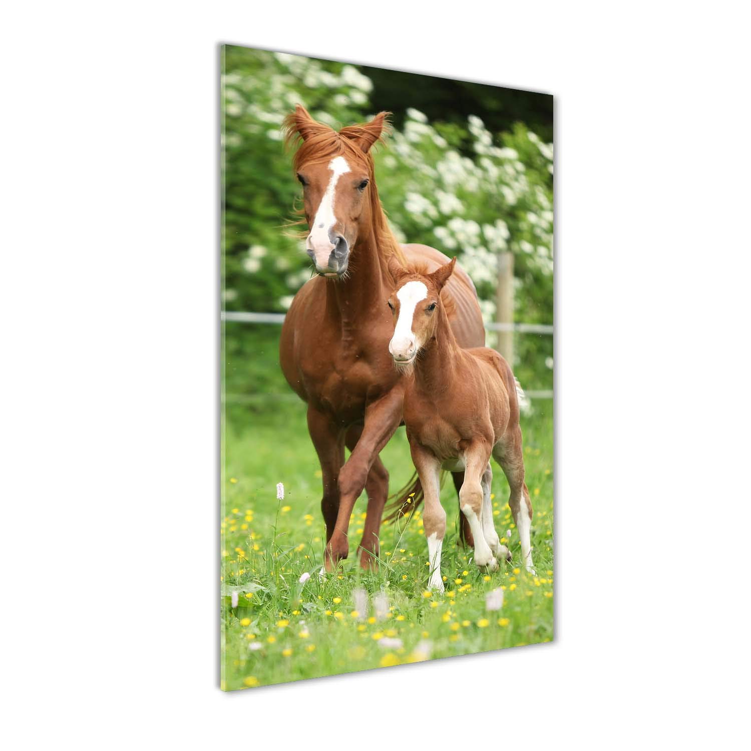 Déco Murale derrière Le Plastique Tulup pour Salon Nature et Vert