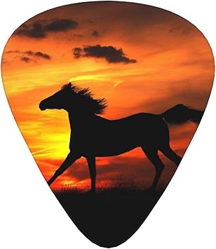 Classic Guitar Picks 12-Pack for Eectric Guitar, Acoustic Guitar, Mandolin And Bass One Size, Horse