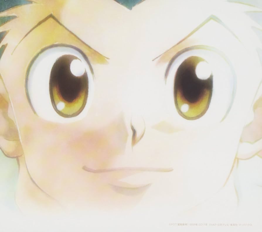 Amazon.co.jp: 日本テレビ系TVアニメ「HUNTER×HUNTER」セレクト