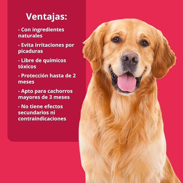 Foto 5 de 7 de Neo Dogs - Pipetas Repelente Anti-Insectos para Perro - contra Pulgas, Garrapatas y Mosquitos