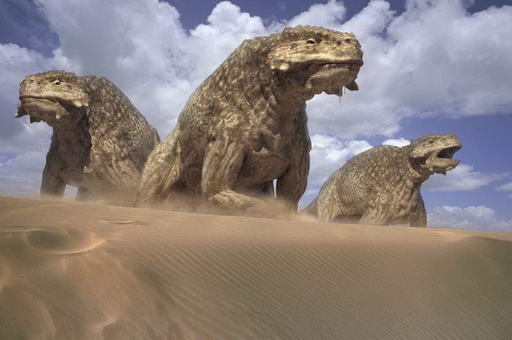 Image secondaire de Coffret Intégral Sur la Terre des Dinosaures - 7 DVD