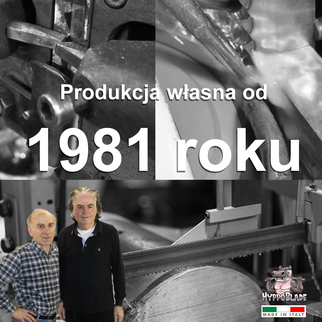 Fraiser PMB 1100 B2/A1 metalowy zestaw brzeszczot taśmowych PARKSIDE PMB 1100 B2/A1 do metalu - 1140 x 0,65 x 13 mm do cięcia żeliwa i stali (T18)