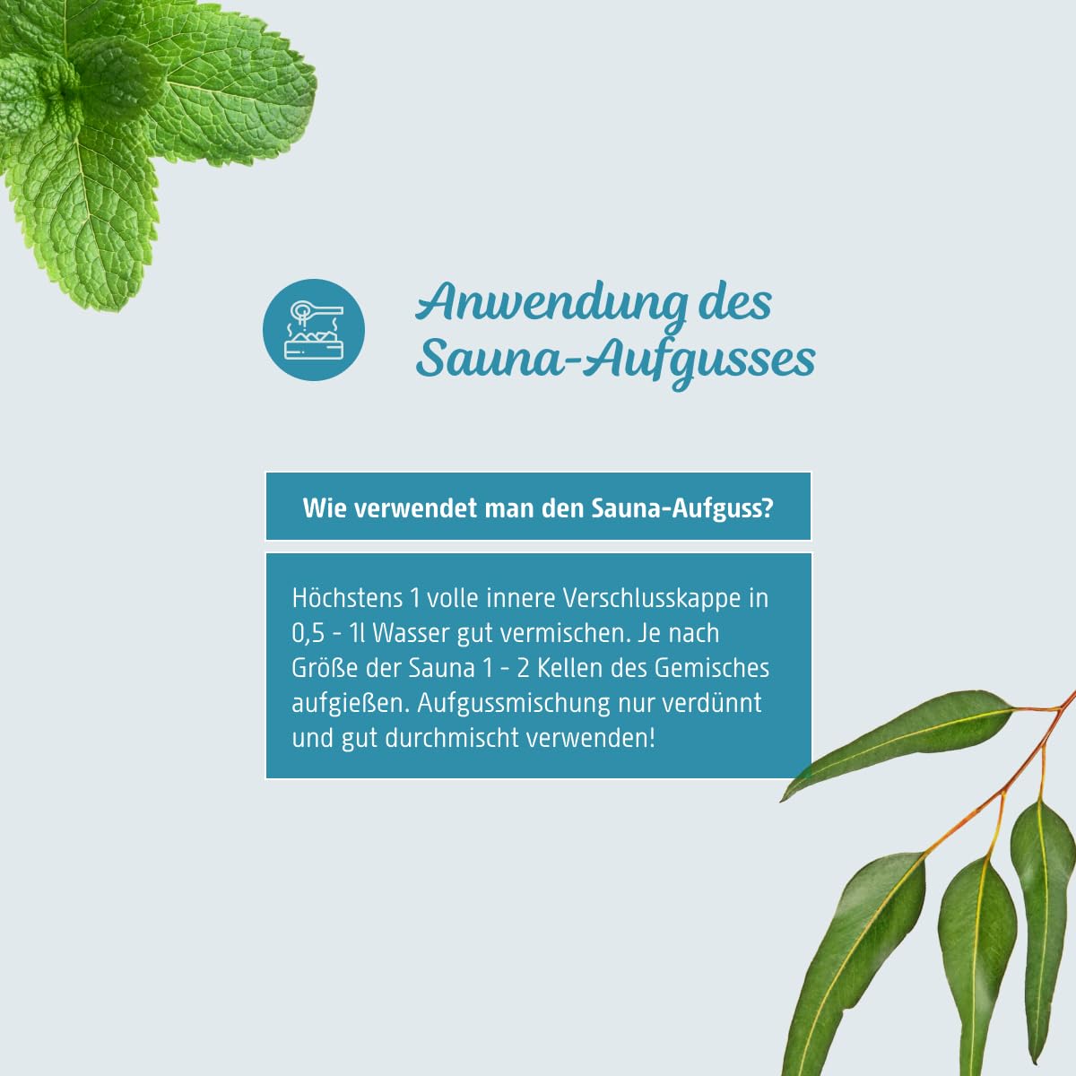 Dresdner Essenz Infusion de menthe japonaise pour sauna avec des parfums naturels et identiques à la nature | Libérant et réconfortant avec de l'huile de menthe et d'eucalyptus | 250 ml