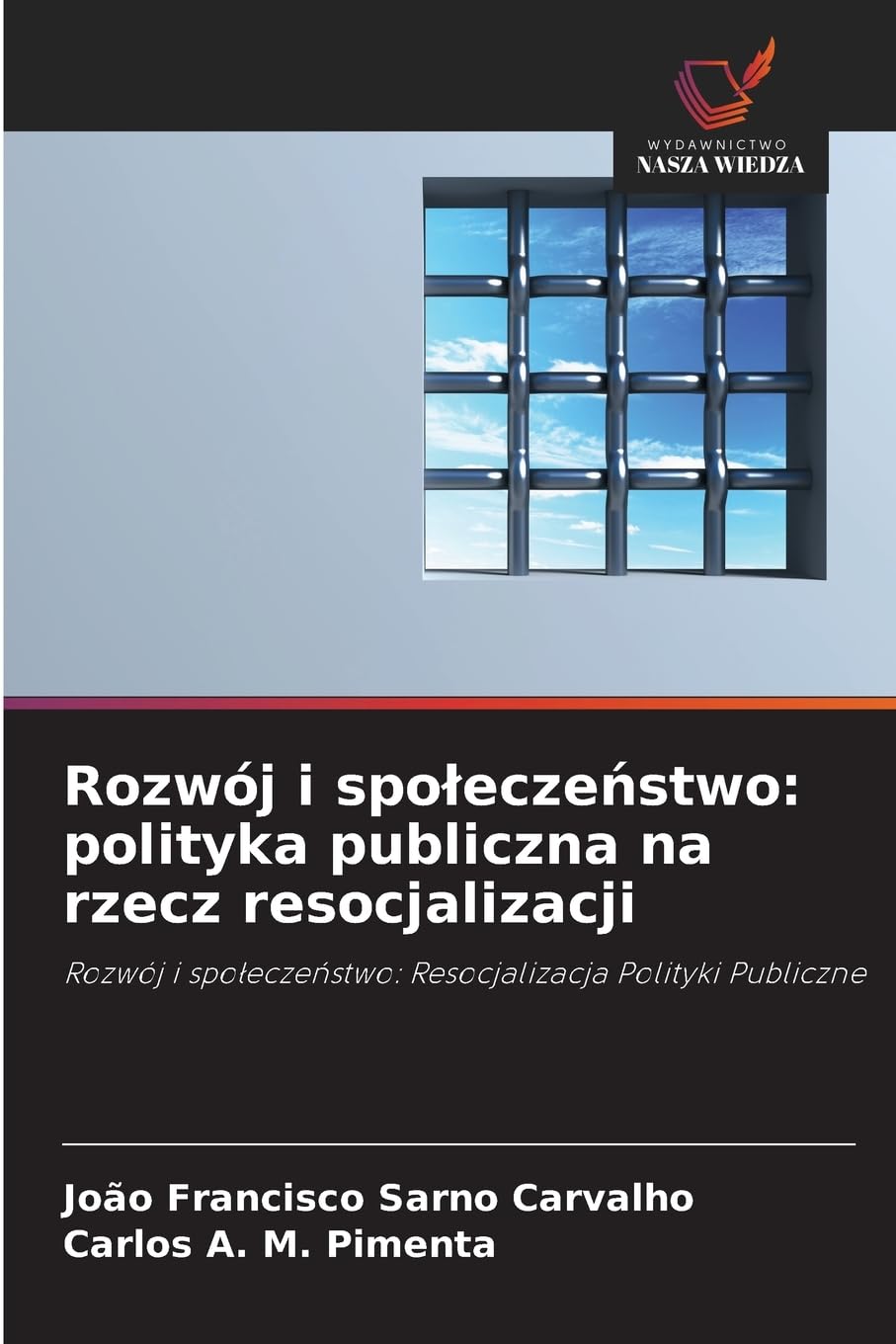 Rozwój i spoleczeństwo: polityka publiczna na rzecz resocjalizacji