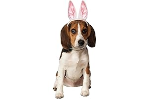 Rubie's Playful Puppy Bunny Ears: Embrace Your Pet's Inner Easter Spirit