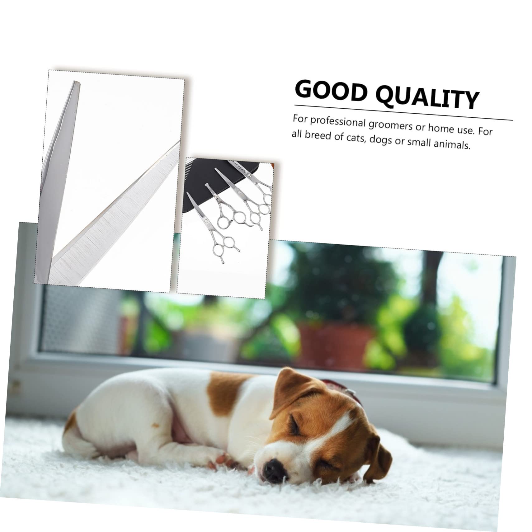 Toddmomy Ciseaux De Coupe Pour Animaux Acier Inoxydable Ciseaux De Toilettage Pour Chiens Tondeuses Pour Animaux