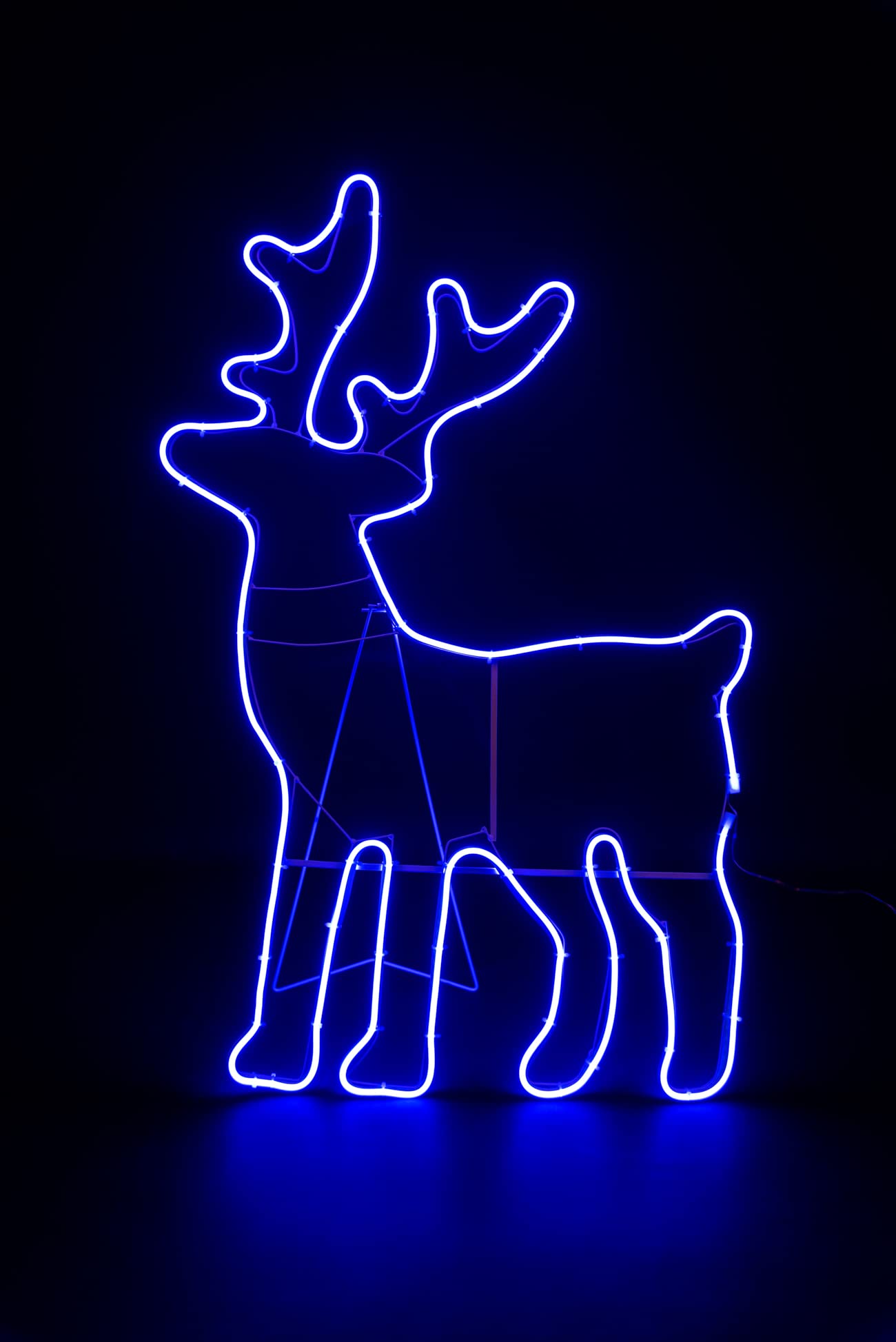 B&Q -  Standing Reindeer Neon Effect Rope Light Silhouette Double Side 90 Blue Leds