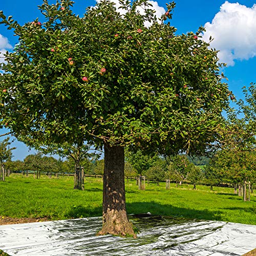 Maitys-4-Pcs-Emergency-Blankets-High-Silver-Reflective-Foil-Sheet-Heat-Foil-Protection-Rescue-Blankets-Camping-Blanket-Hiking-Space-Blankets-and-Garden-Greenhouse-Covering-Plant-Growth-Sheet