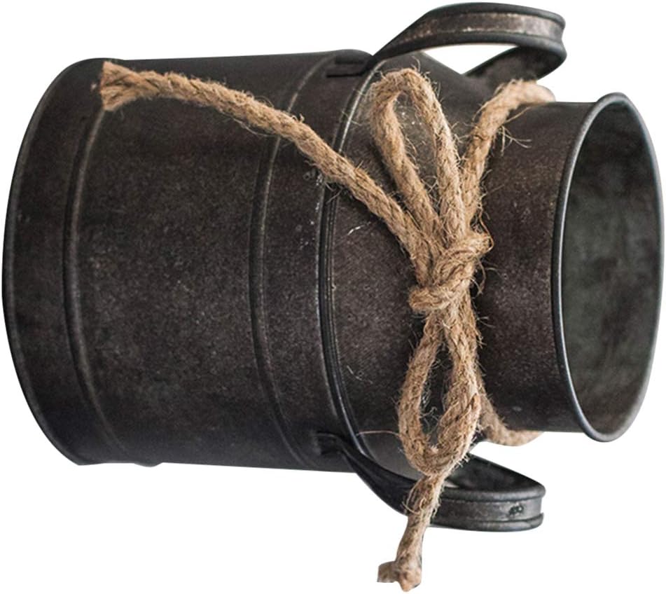 2 Pcs Flower Vase Vintage Farmhouse Jug Vase Metal Pitcher Love Heart Rustic Metal Galvanized Flower Pot Decorative Iron Bucket Planter Table Centerpiece