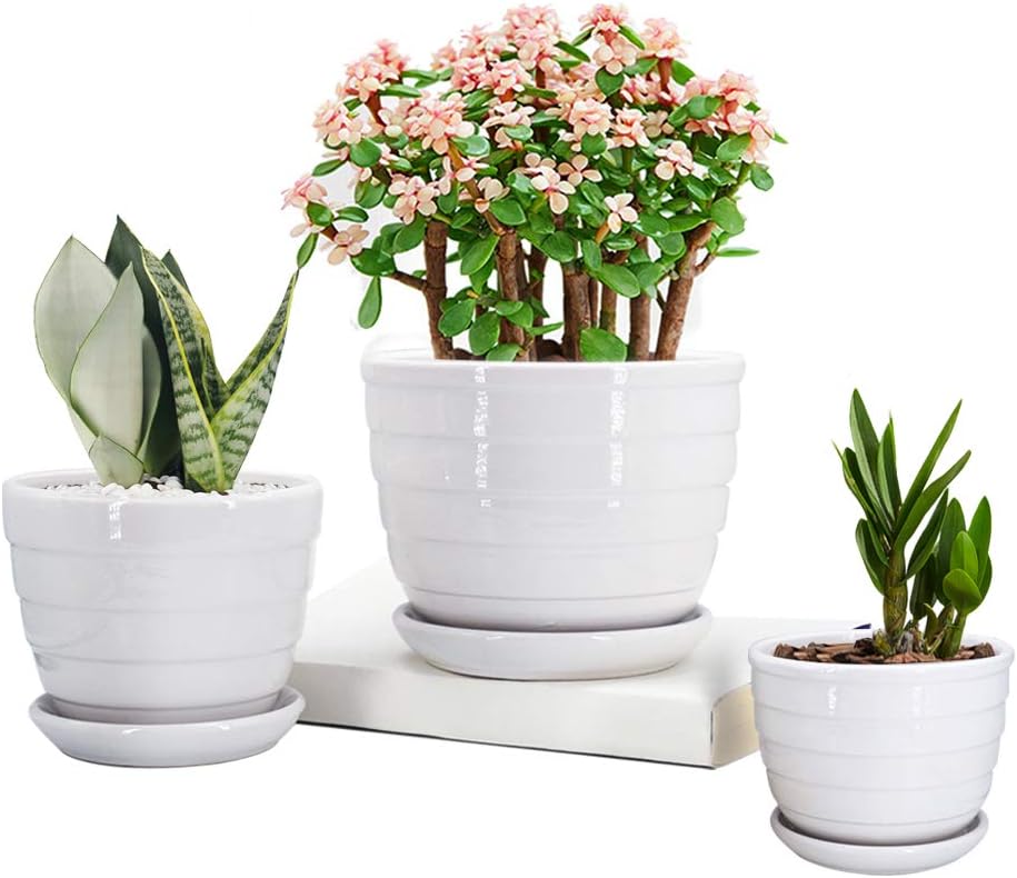 GeLive White Ceramic Round Flower Pots, Succulent Planters, Window Boxes, Garden Plant Container with Saucers, Small to Large Size, Elegant, Home Office Tabletop Decor (Set of 3 White)