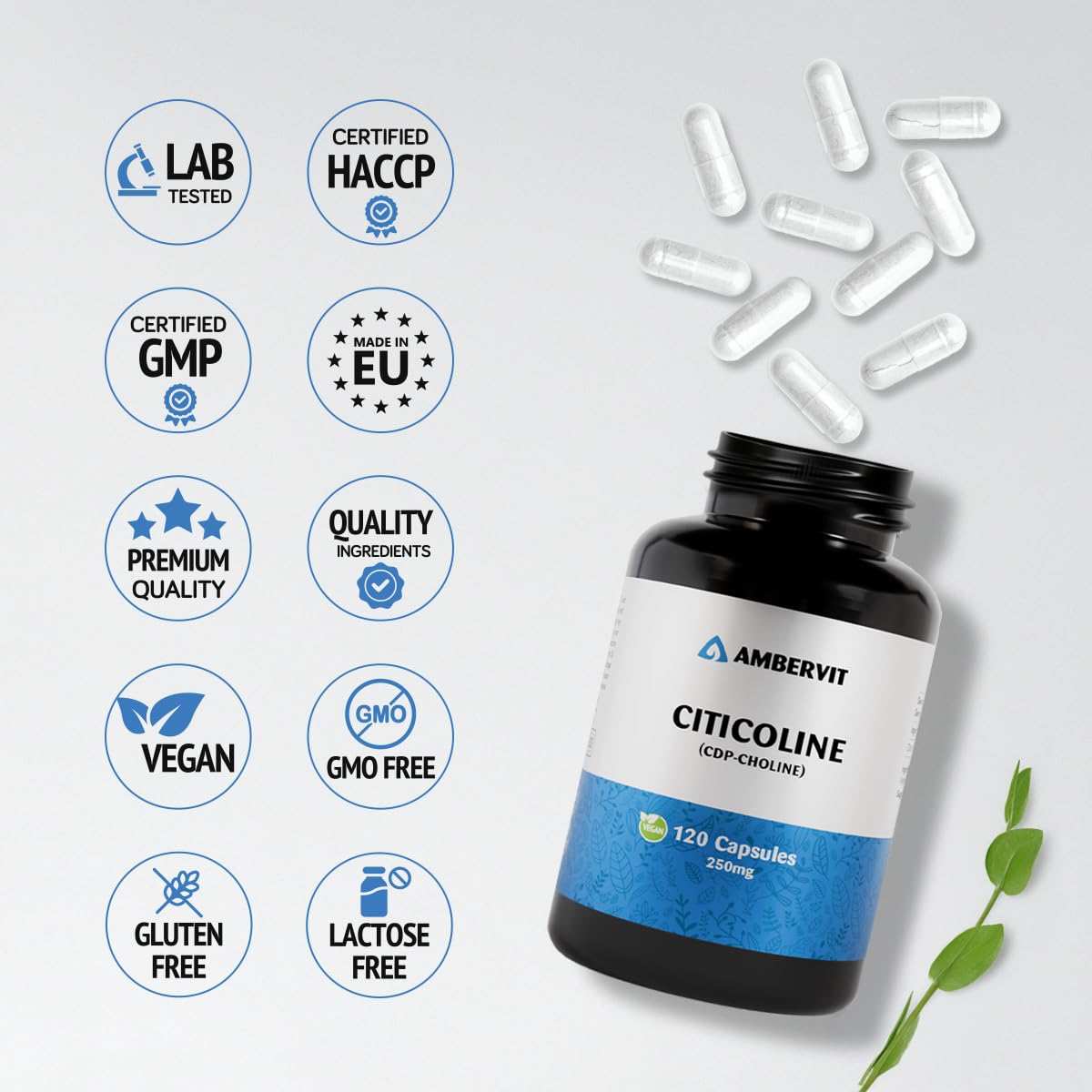 Citicoline CDP-Choline 250mg - 120 Capsules - Pour mémoire, concentration & soutien mental - Sans additifs indésirables - 4 mois d'approvisionnement | Ambervit