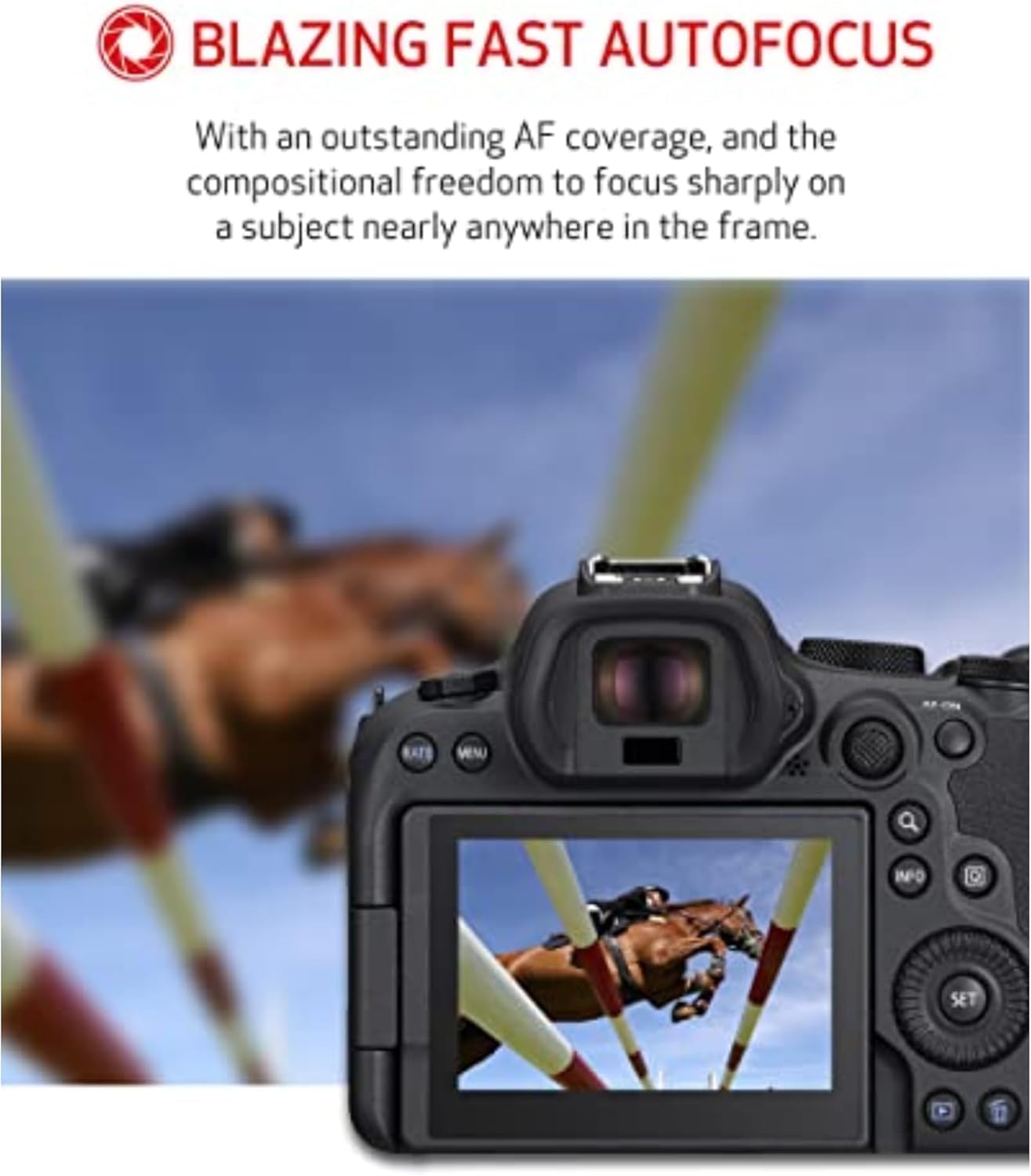 Canon EOS R6 Mark II Mirrorless Camera with PIXIBYTES Microfiber Cleaning Cloth (Body w/RF 50mm + Advanced Bundle)