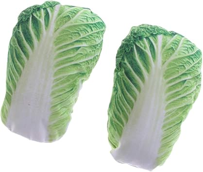 Amazon 犬 噛むおもちゃ 果物 野菜形状 おもちゃ 音の出るおもちゃ 全5種 キャベツ F Fityle 音の出るおもちゃ 通販 Amazon 犬 噛むおもちゃ 果物 野菜形状 おもちゃ 音の出るおもちゃ 全5種 キャベツ F Fityle 音の出るおもちゃ 通販