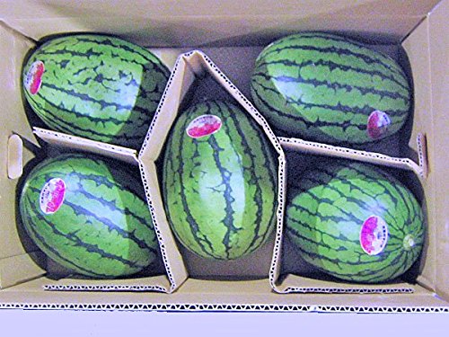 北海道四季工房 北海道産マダーボールすいか(秀）