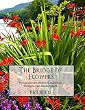 The Bridge of Flowers (Shelburne Falls MA Trilogy)