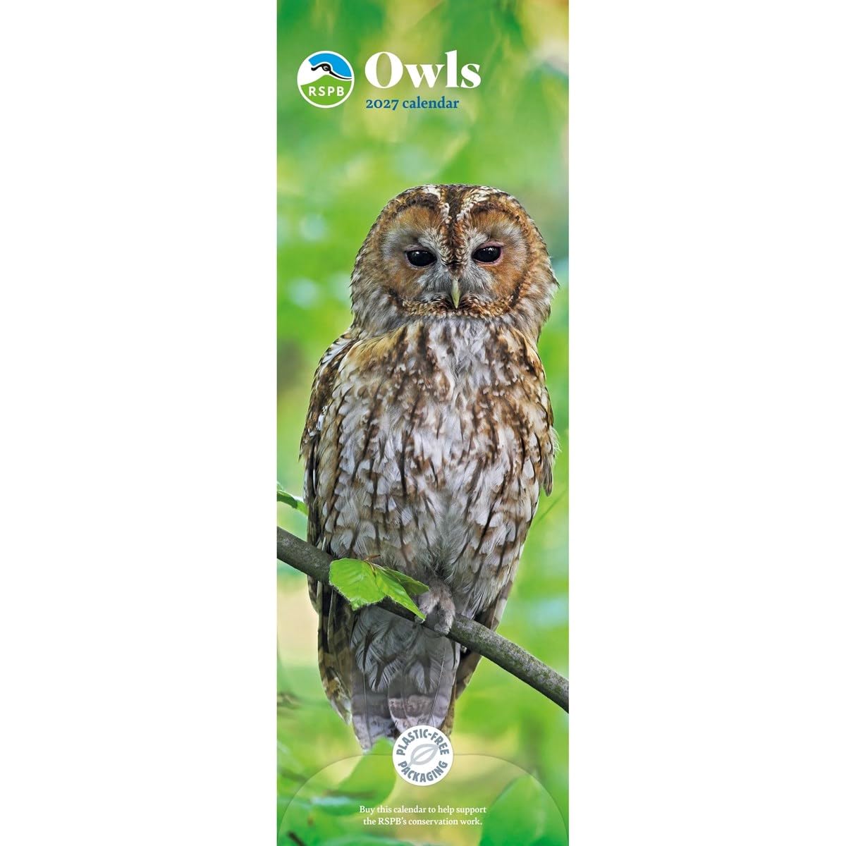 Carousel Worldwide Owls 2027 Slim Wall Calendar, 12-Month Calendar, Stunning Owl Photography