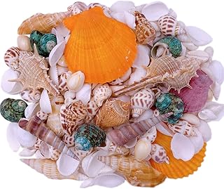 Sponsored Ad - 120 PCS Sea Shells Mixed Conch Seashells Ocean Beach Seashells Natural Shells for Vase Filler Fish Tank Bea...