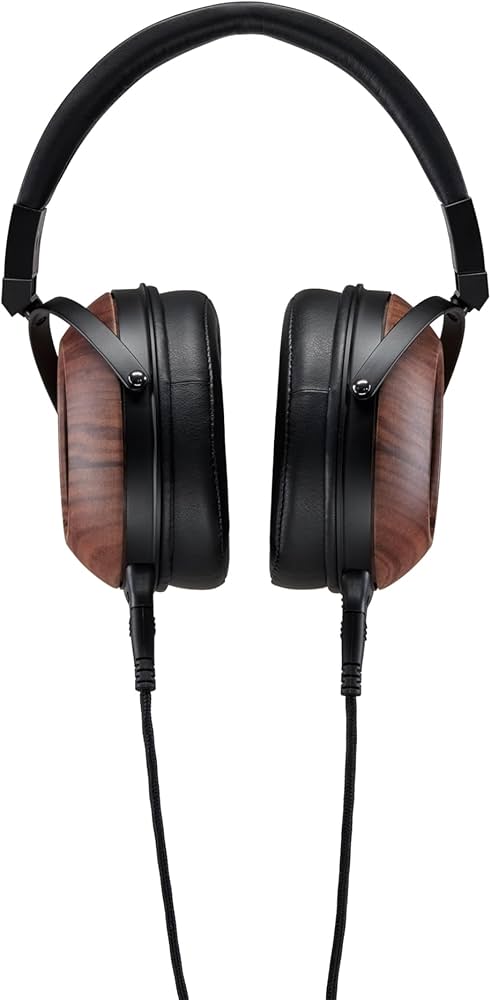 Amazon.com: Fostex Premium Open Back Audiophile Headphones