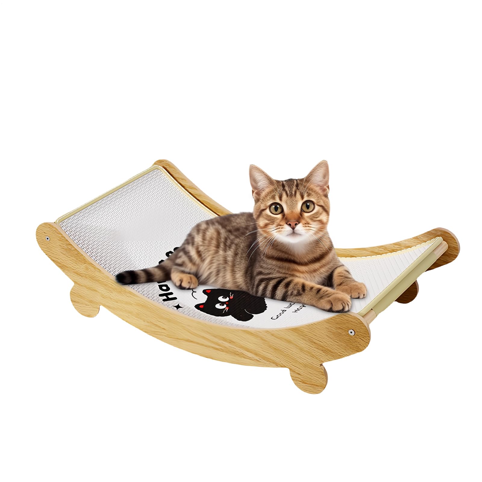 Jouet interactif anti-griffure pour chaton idéal pour salon et intérieur