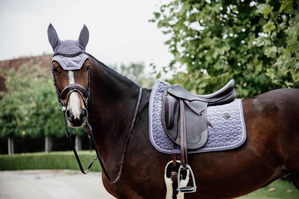 Kentucky Horsewear - Bonnet Wellington Velvet - Violet - pour Cheval