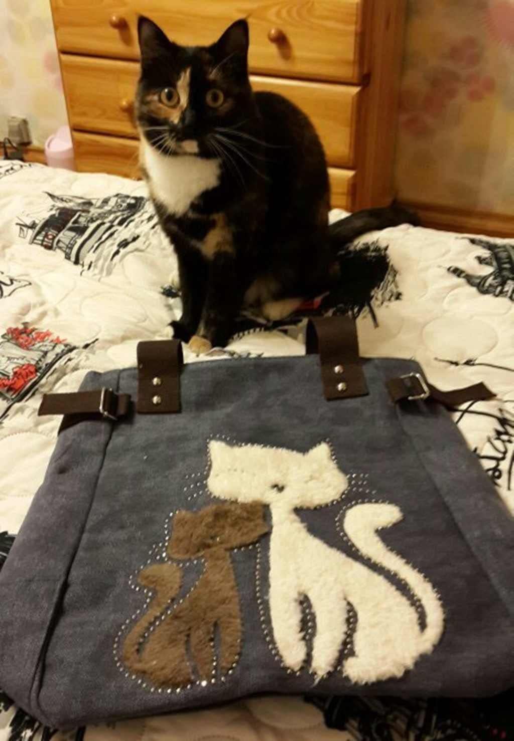 Valentoria Canvas Tote Handbag for Women Cute Cat Embroidery Shoulder Purse Large Zipper Travel Work Shopping Grocery Bags - Image 3