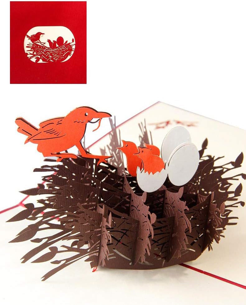 nido d'uccello per bambini