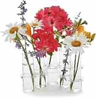 Amazon.com: Two's Company Hinged Tube Flower Vase, 8-Inch
