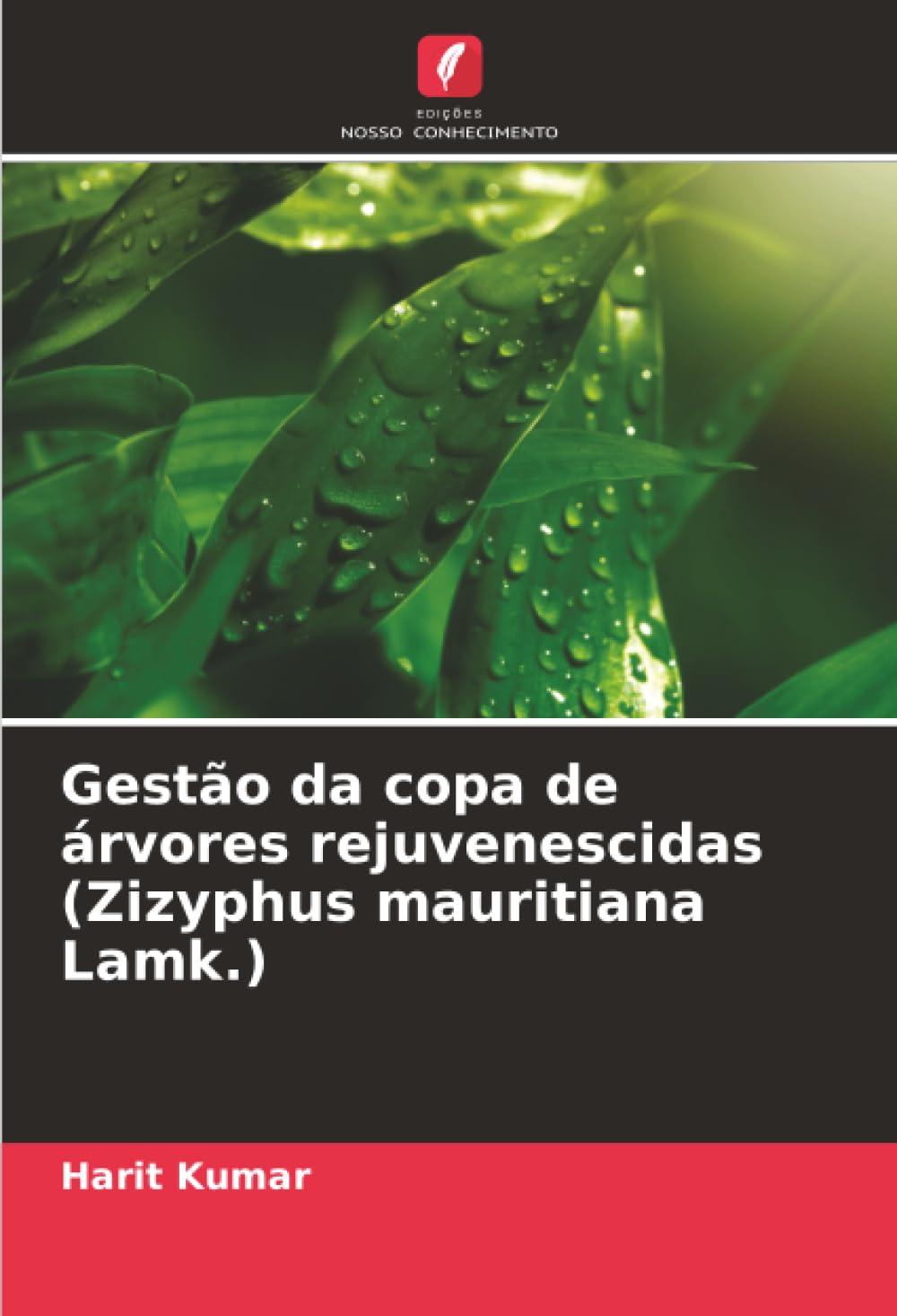 Gestão da copa de árvores rejuvenescidas (Zizyphus mauritiana Lamk.)